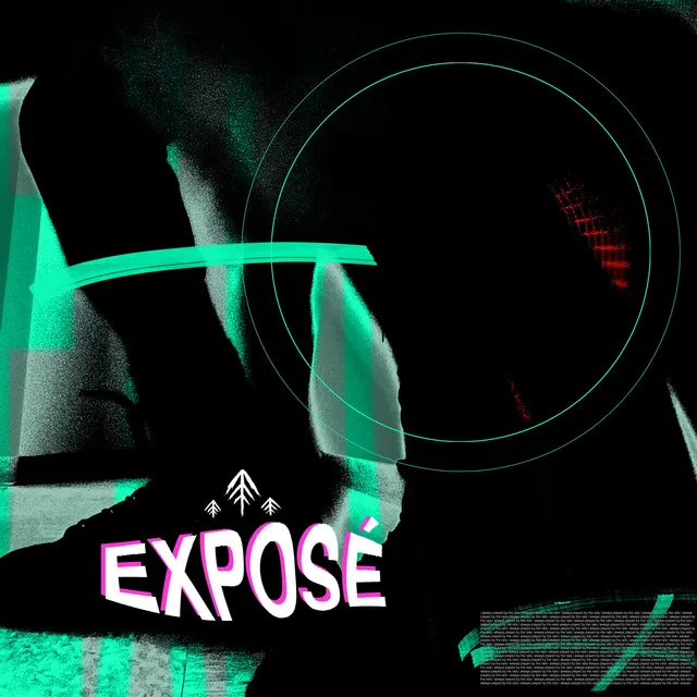 EXPOSÉ