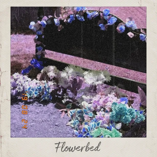 Flowerbed