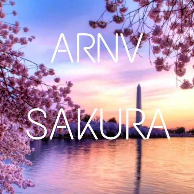 SAKURA