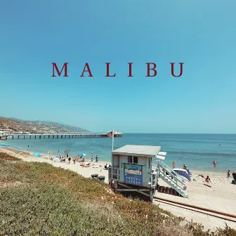 Malibu by Laura Warshauer