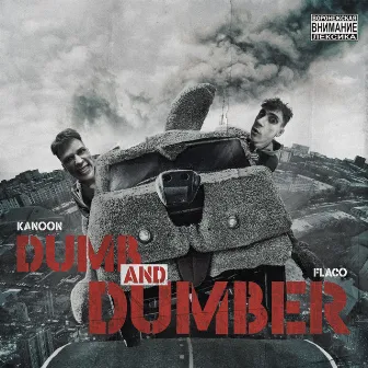 Dumb and Dumber by FLACO