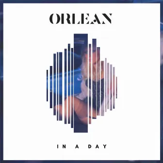 In a Day by Orlean