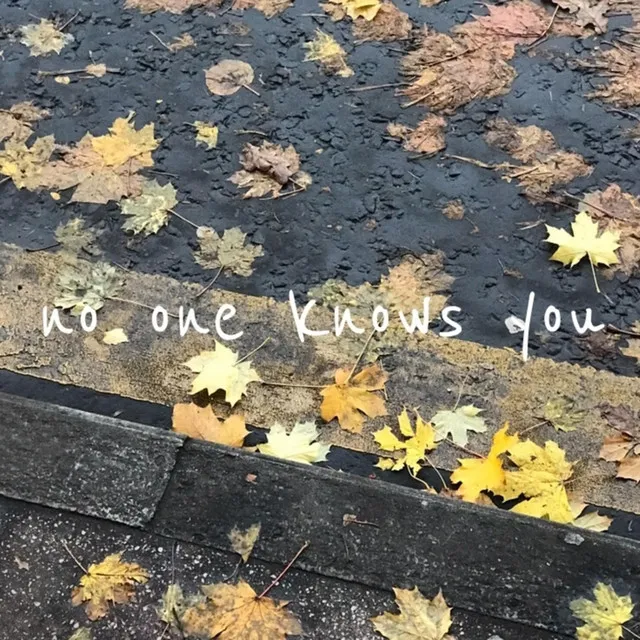 No One Knows You