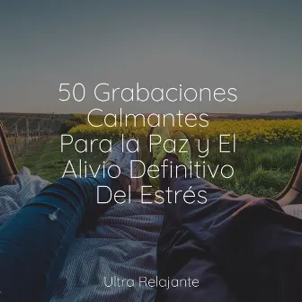 50 Melodías Para Dormir y Relajarse by Musica Meditaction