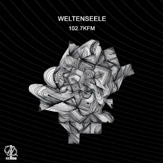 102.7kfm by weltenseele