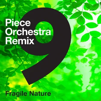 9-Piece Orchestra Remix - Fragile Nature by Julie Gruss