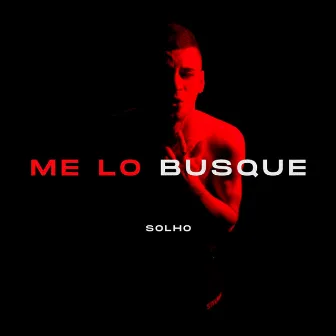 Me Lo Busque by Solho