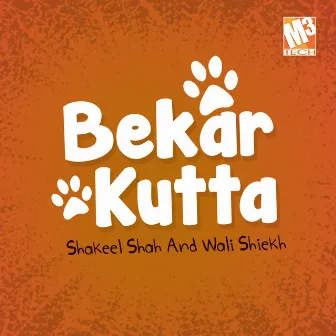 Bekar Kutta by Wali Shiekh