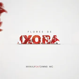 Flores de Ixora by MXNX J