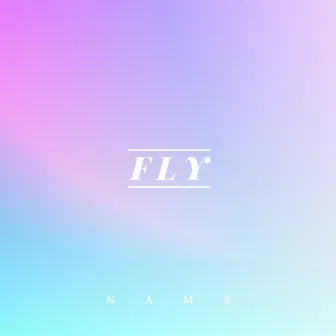 Fly by Nams