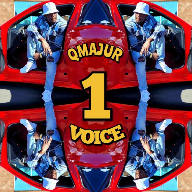 1 VOICE