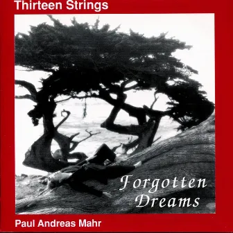 Forgotten Dreams by Thirteen Strings Chamber Orchestra