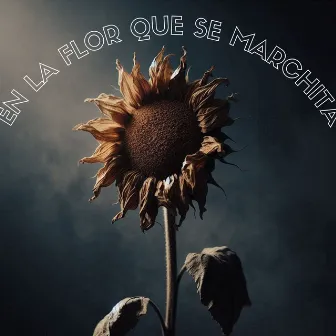 En la Flor Que Se Marchita by Coro Juvenil a Ti Señor