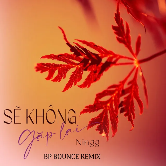 Sẽ Không Gặp Lại - BP Bounce Remix