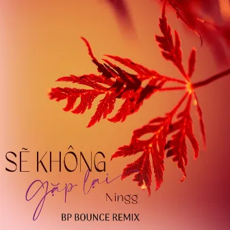 Sẽ Không Gặp Lại (BP Bounce Remix) by 