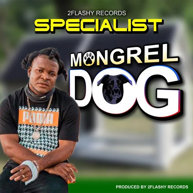 Mongrel Dog