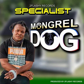 Mongrel Dog by Specialist