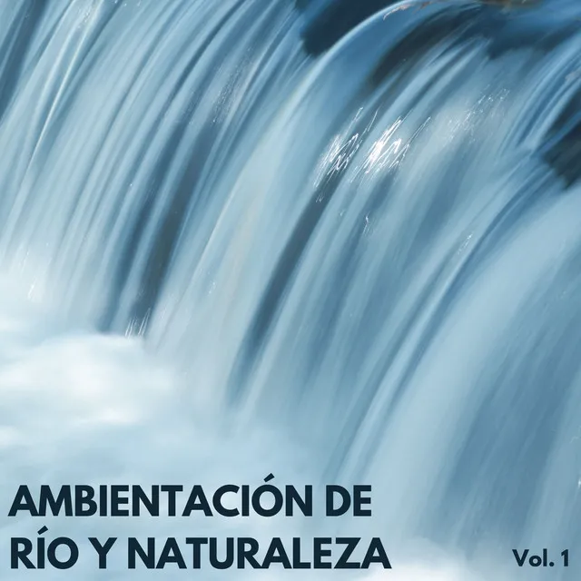 Música De Relajación De Río Pacífico