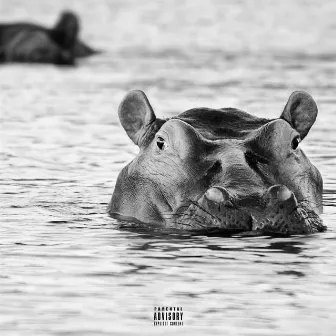 PABLO ESCOBAR'S COCAINE HIPPOS by ACEXXI