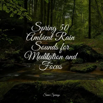 Spring 50 Ambient Rain Sounds for Meditation and Focus by Lucid Dreaming Music