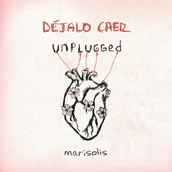 Déjalo Caer (unplugged) by Mari Solis