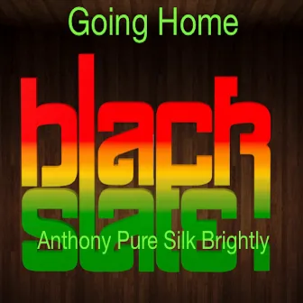 Going Home by Anthony Pure Silk Brightly