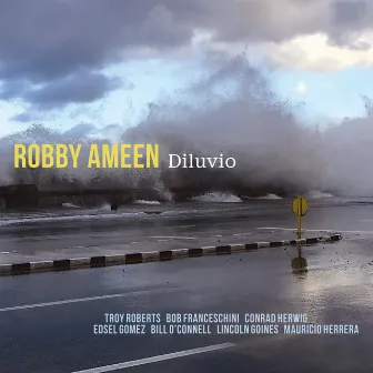 Diluvio by Robby Ameen