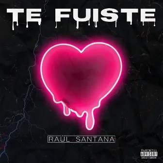 Te fuiste by Raúl Santana