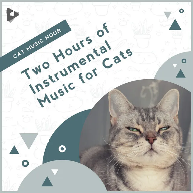 2 Hours of Instrumental Music for Cats