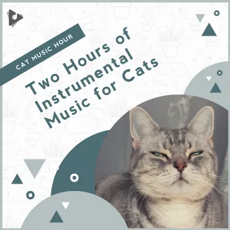 2 Hours of Instrumental Music for Cats by Calming Music for Cats