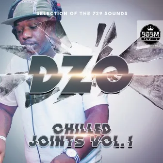 Chilled Joints, Vol. 1 (Selection of the 729 Sounds) by Dżo