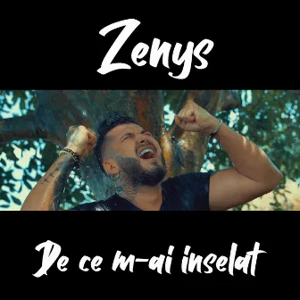 De ce m-ai inselat by Zenys