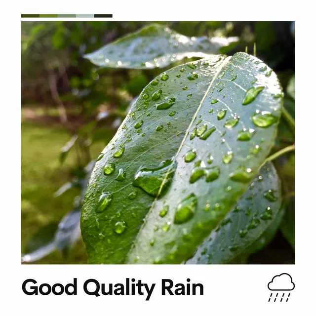 Good Quality Rain