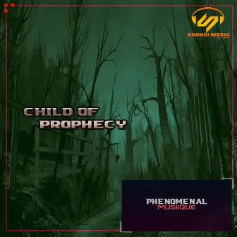 Child Of Prophecy by Phenomenal Musiique