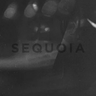 Sequoia by Sequoia