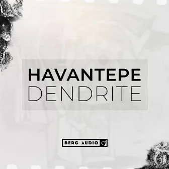 Dendrite by Havantepe