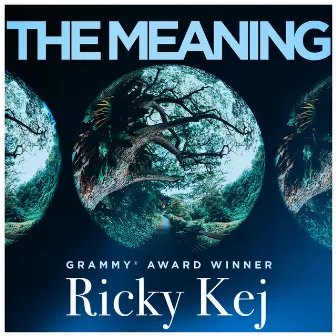 The Meaning by Ricky Kej