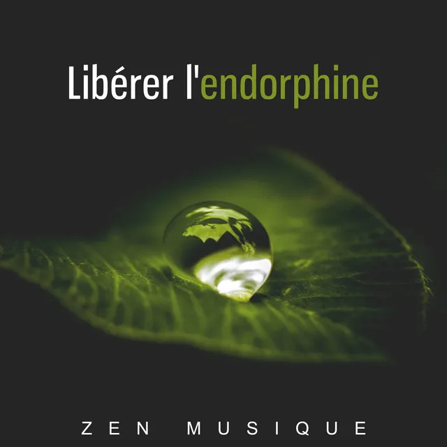 Libérer l'endorphine - Zen musique et les sons de la nature le plus reposant et doux, Yoga, Relaxation, Bien-être, Allier le corps et l'esprit