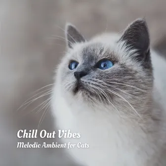 Chill Out Vibes: Melodic Ambient for Cats by Chill My Pooch