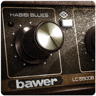 Habibi Blues by Bawer