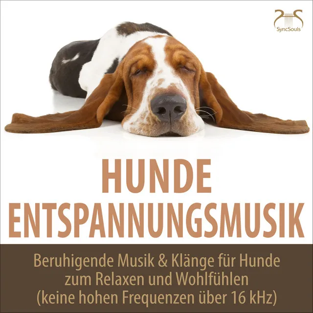 Hunde Musik TA