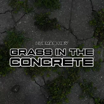 Grass In The Concrete by Leumas Rey