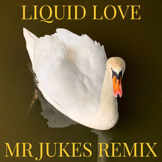 Liquid Love - Mr Jukes Remix