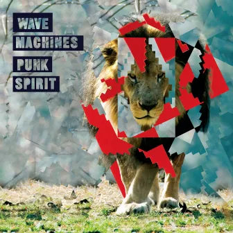 Punk Spirit by Wave Machines