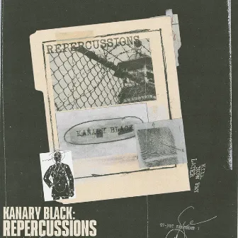 Repercussions by Kanary Black