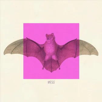 Mess by Dimitri's Bats