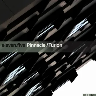 Pinnacle/Turion by eleven.five