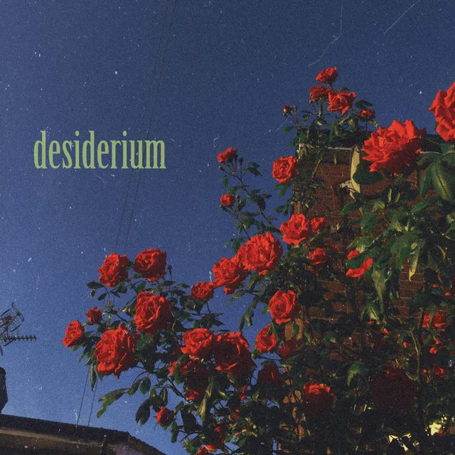 desiderium