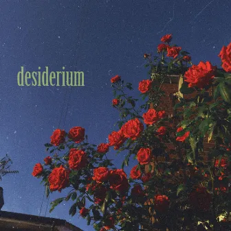 desiderium by ZA