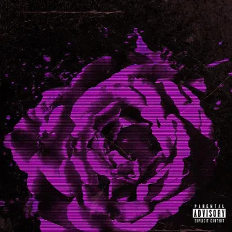 Codeine Roses by Augxst